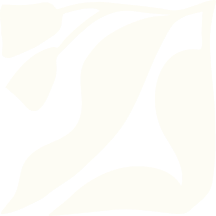 Abstract black and white geometric shape with curved and angular forms.