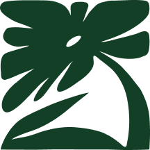 Stylized dark green Monstera leaf with two curved lines below.