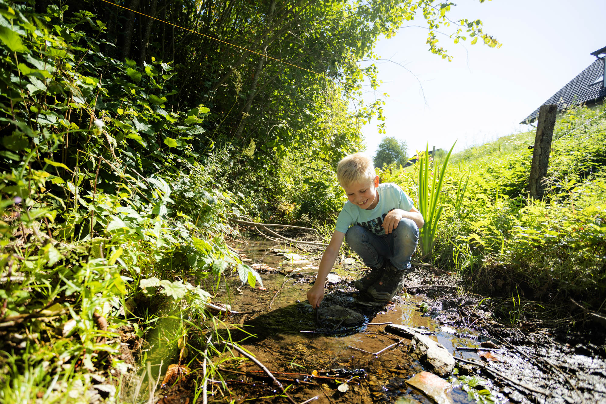 Junge mit blondem Haar spielt an einem kleinen flachen Bach in einer grünen, sonnigen Landschaft.