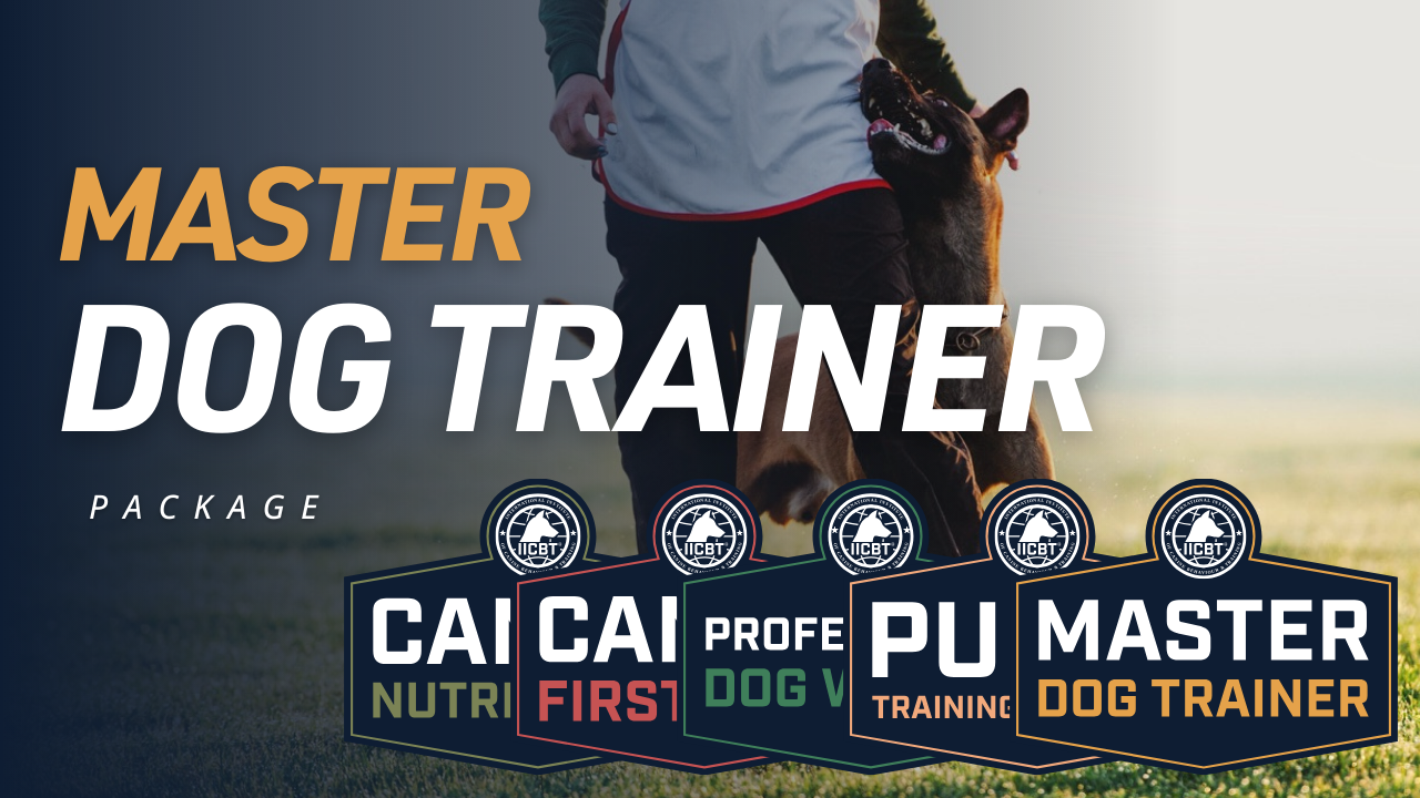 Person standing with a German Shepherd dog looking up, with text 'MASTER DOG TRAINER PACKAGE' and five dog training certification badges below.