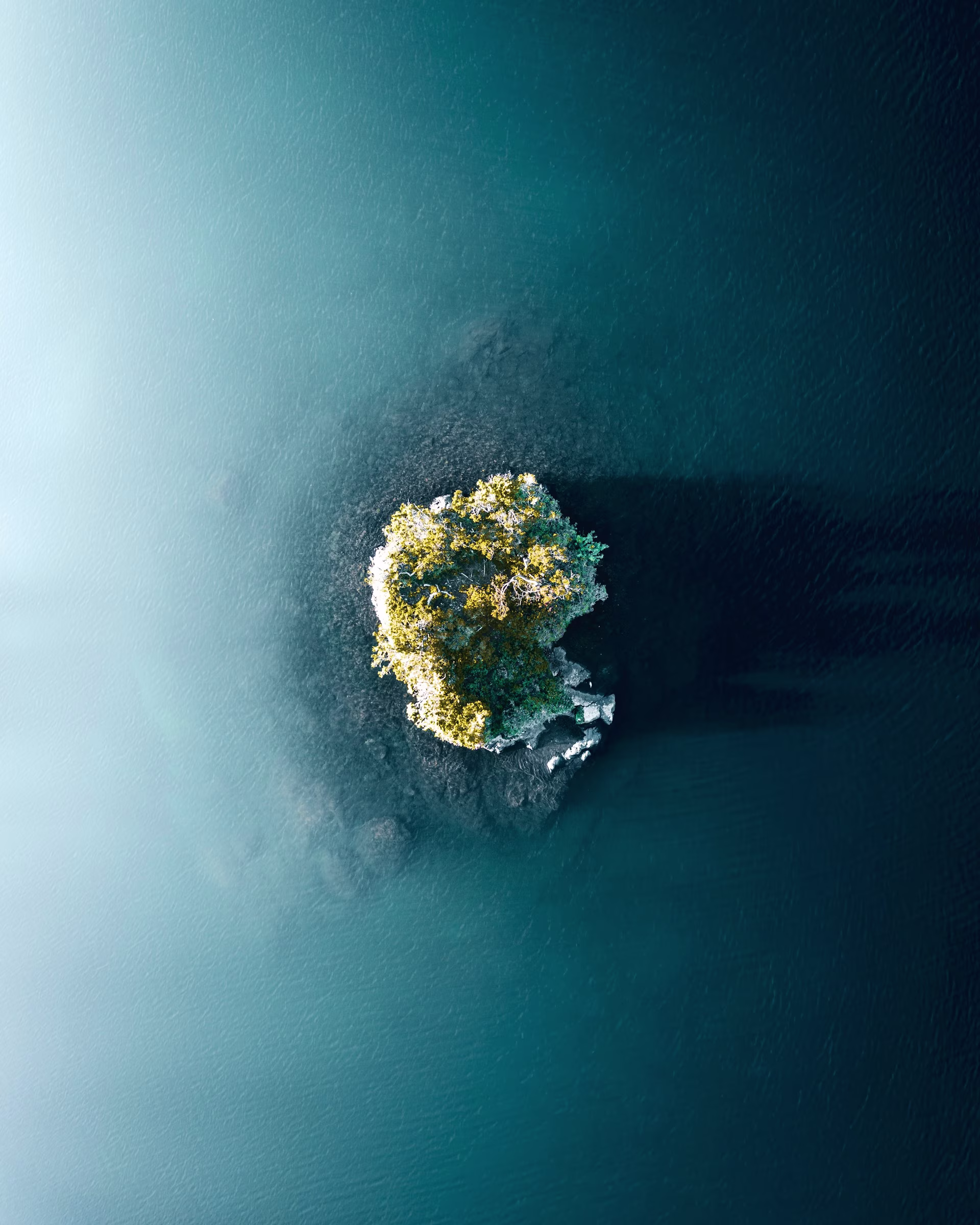 abattement micro entreprise