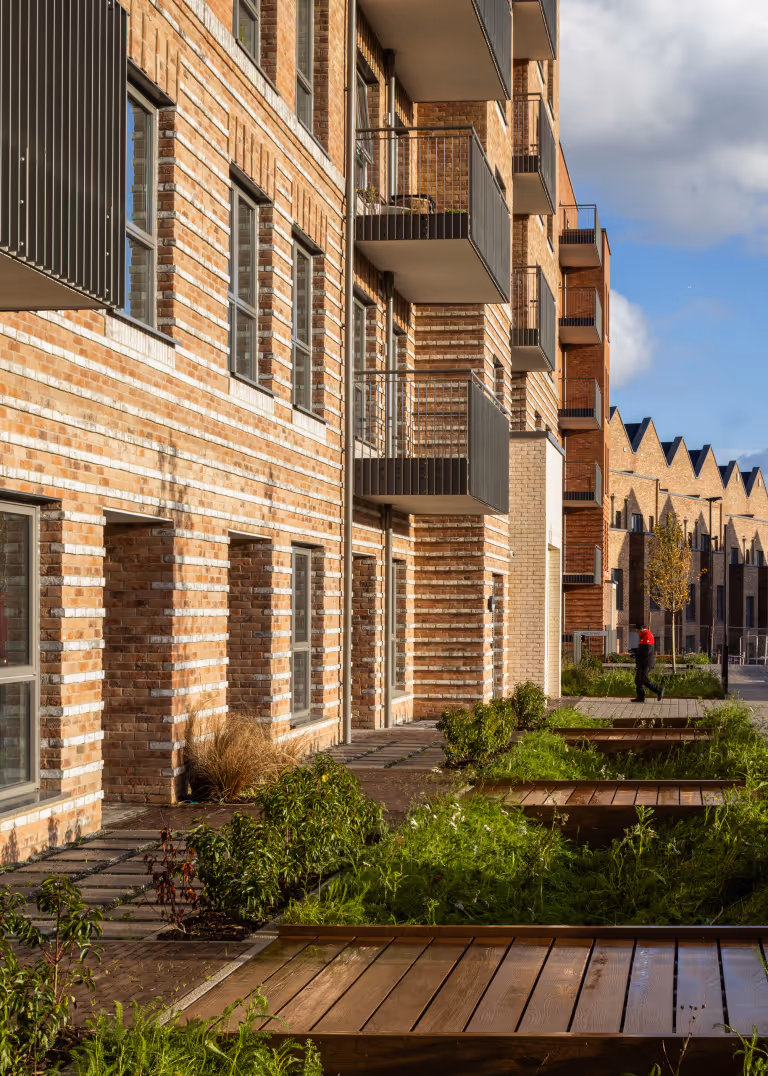 New Avenue Phase 2
