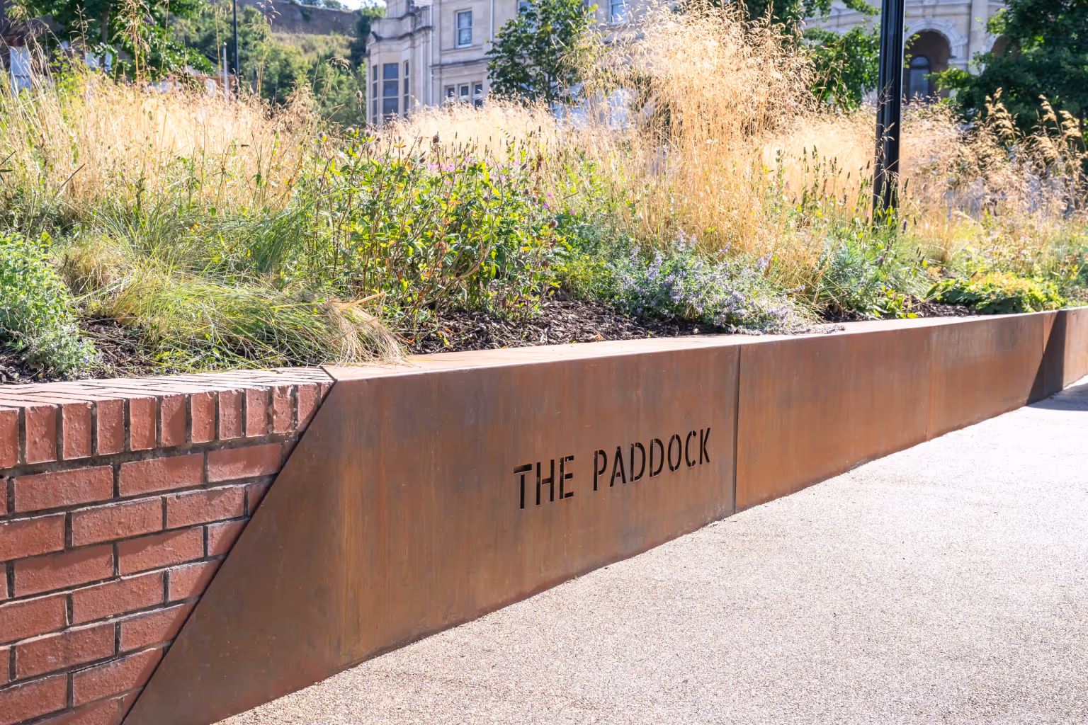 The Paddock