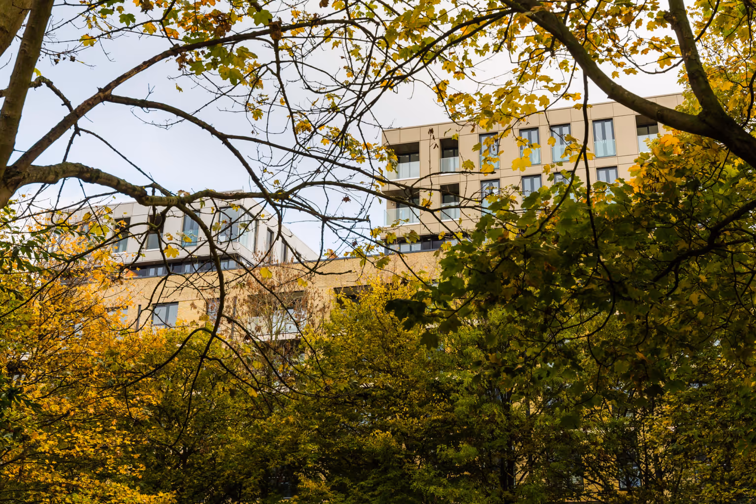 Queen Elizabeth Children's Hospital