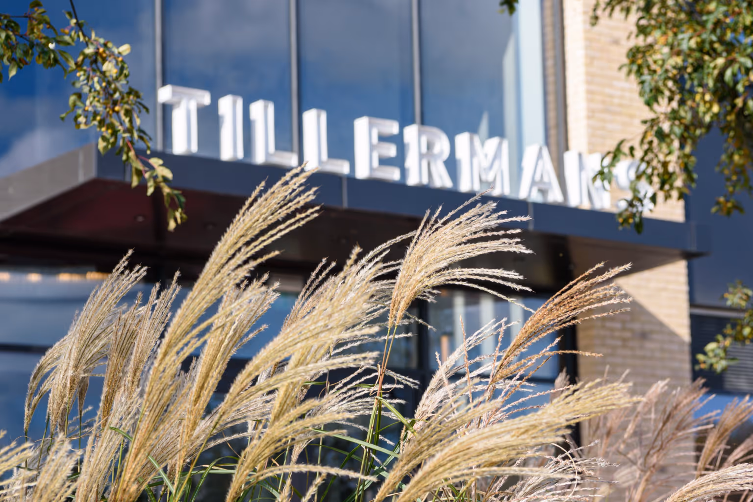 Tillermans
