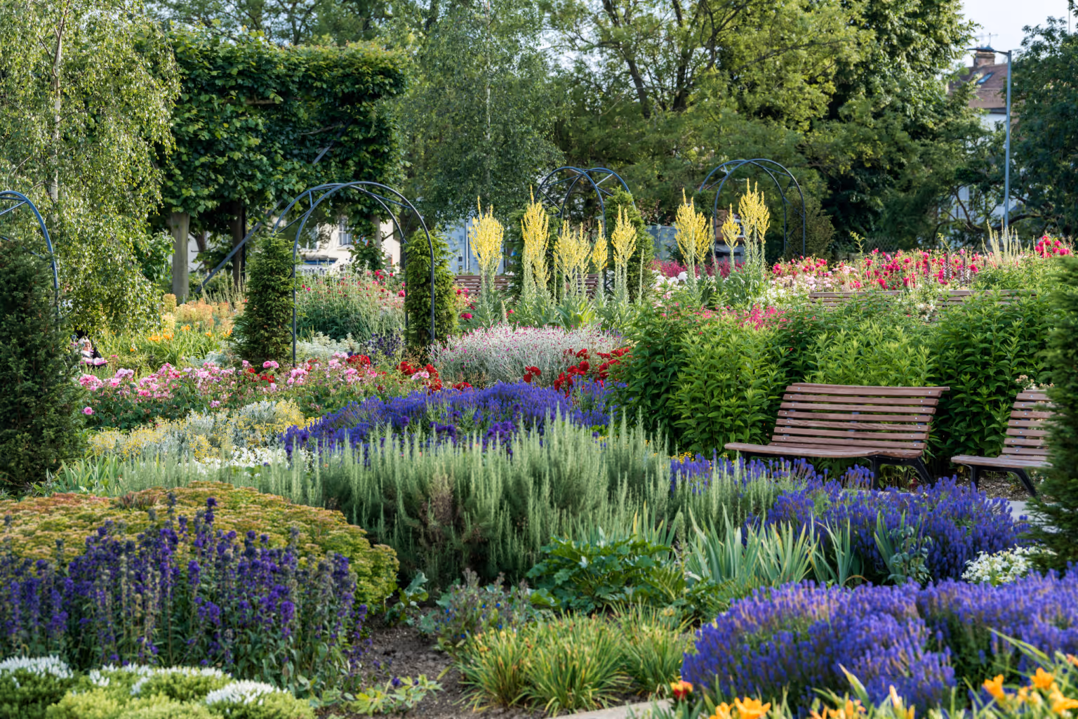 The Water Gardens