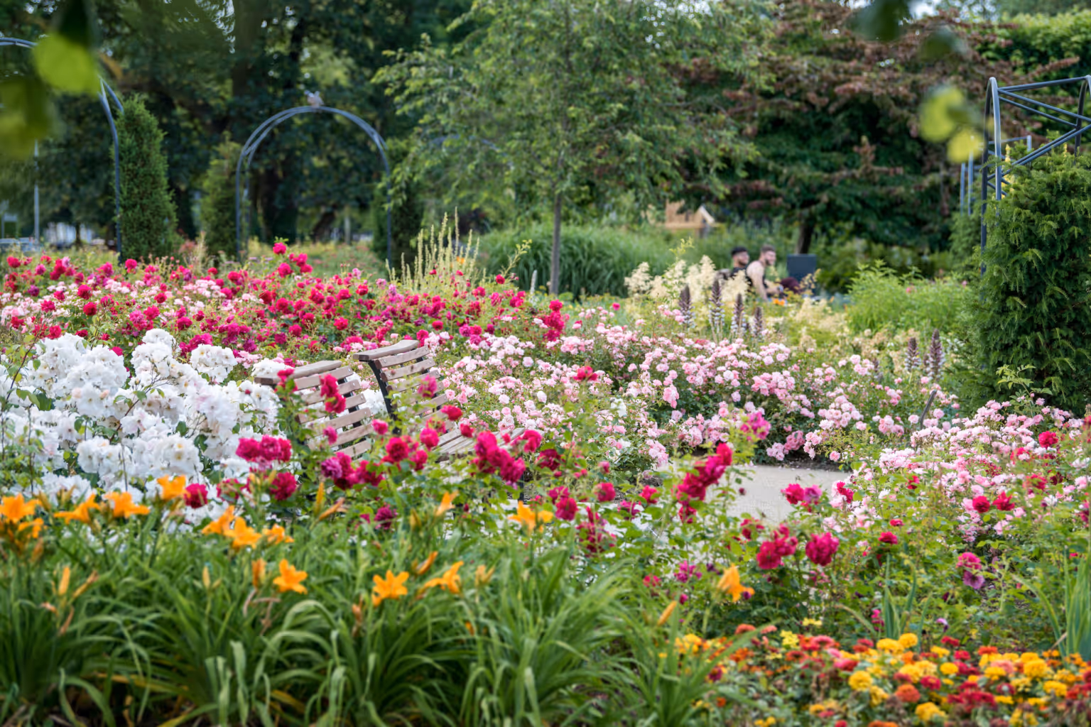 The Water Gardens