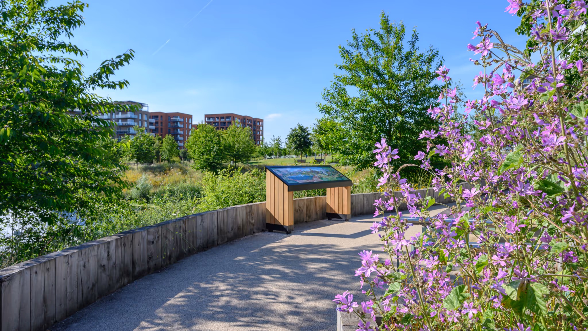 Cator Park