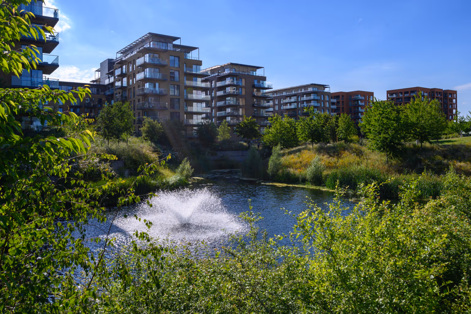 Cator Park