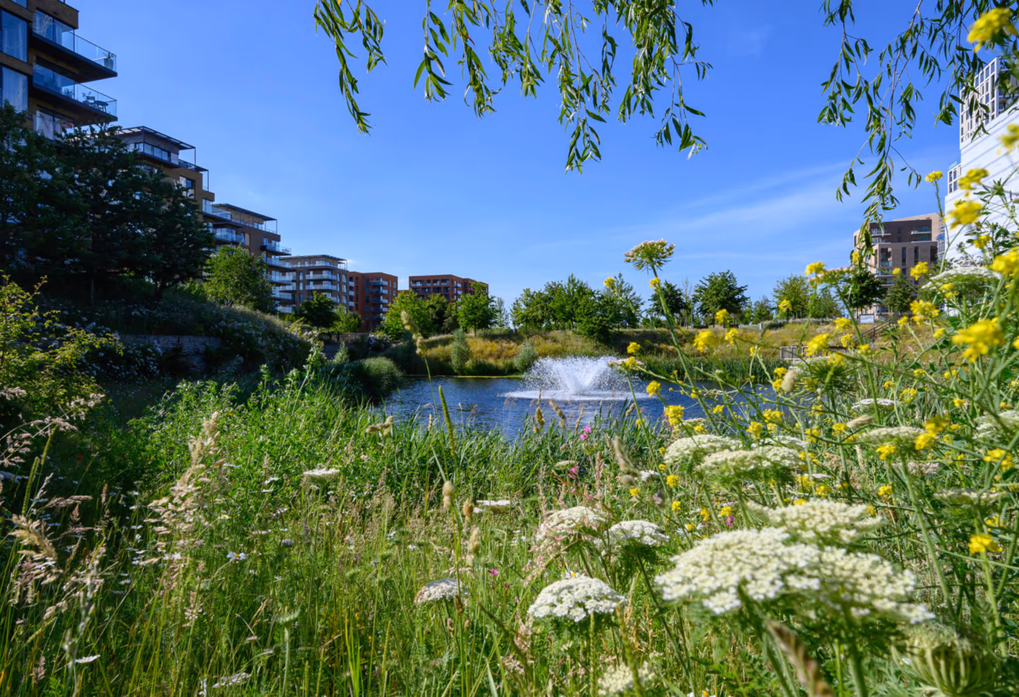 Cator Park