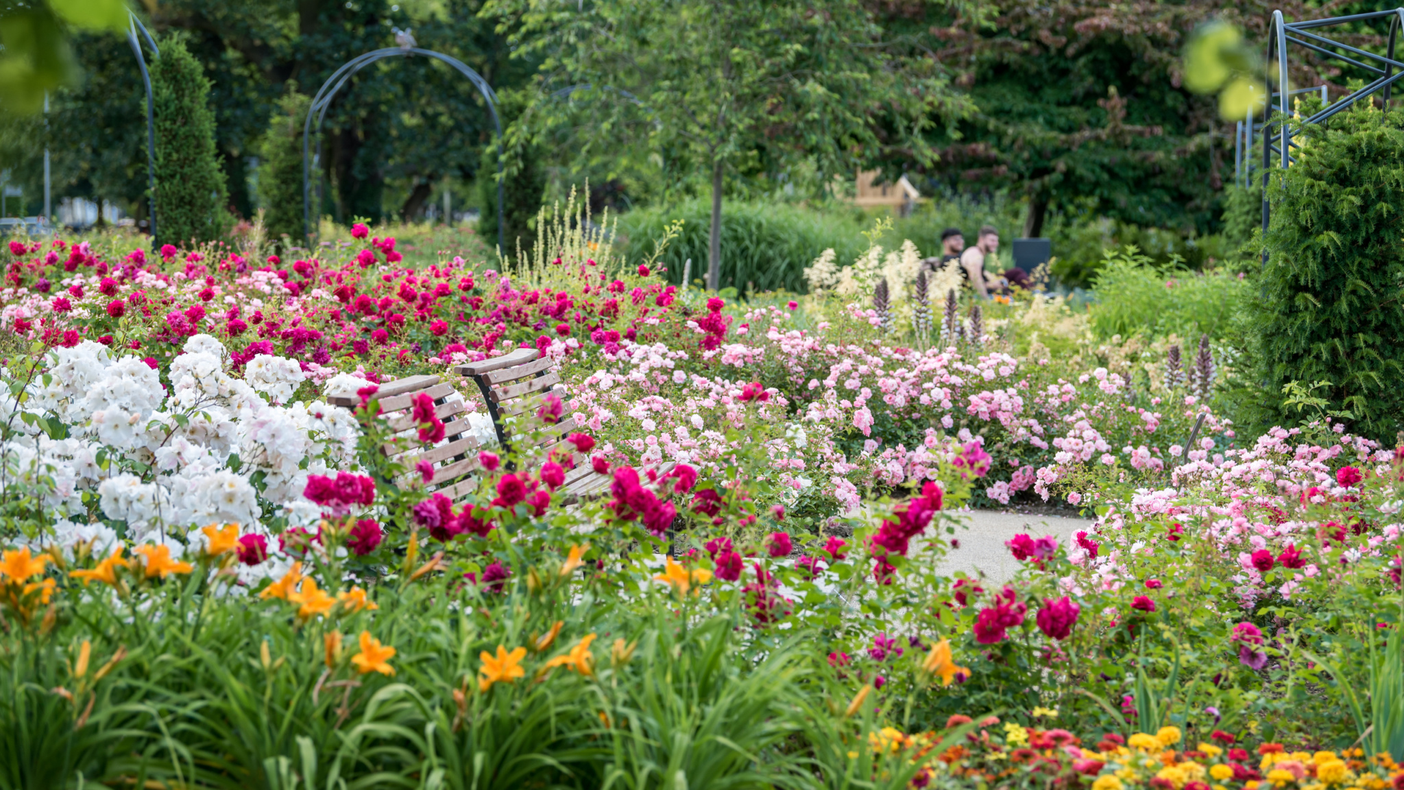The Water Gardens