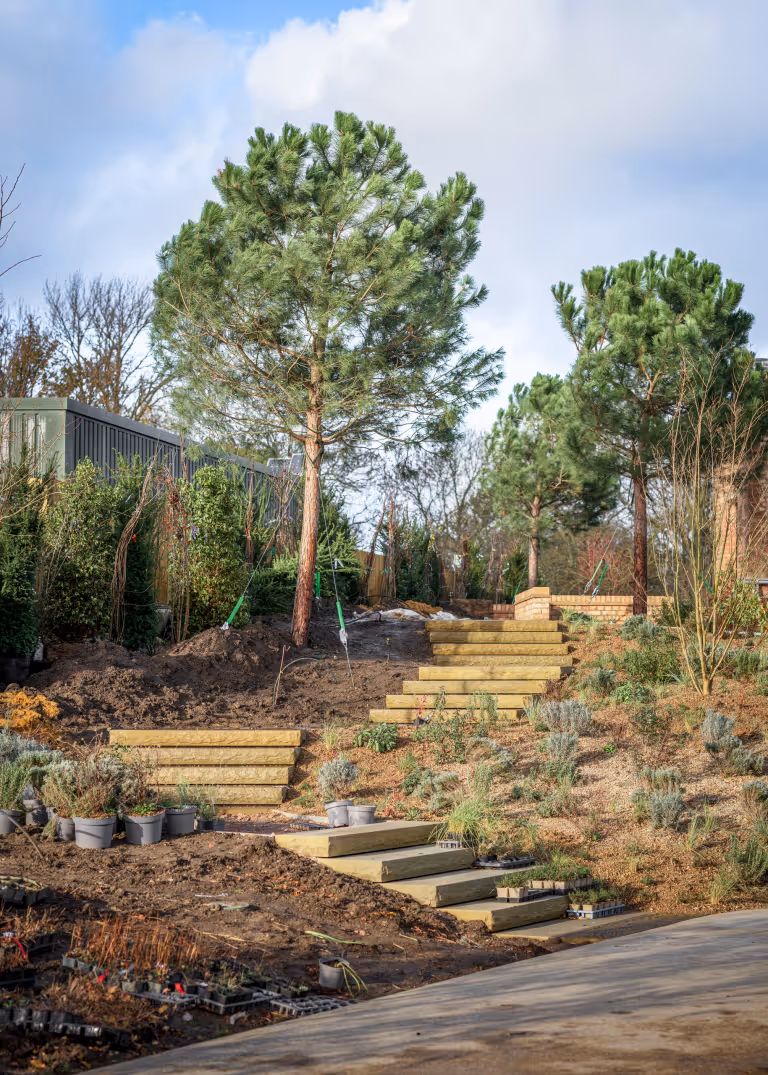 The Queen Elizabeth II Garden