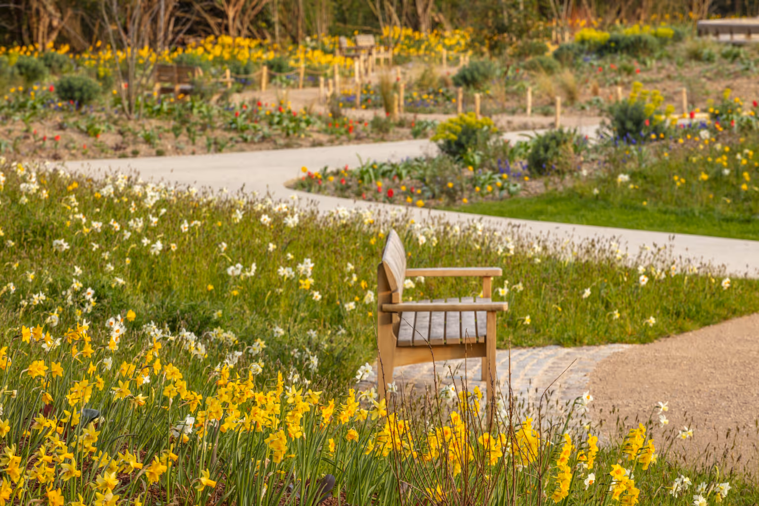 The Queen Elizabeth II Garden