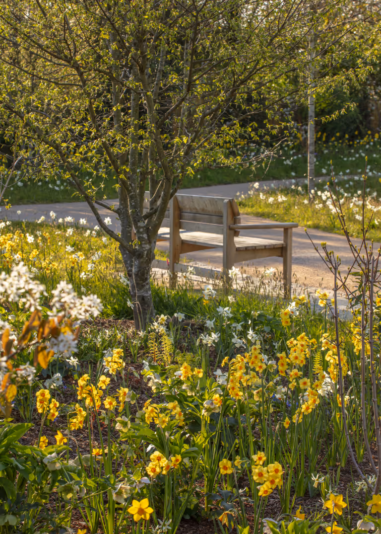 The Queen Elizabeth II Garden