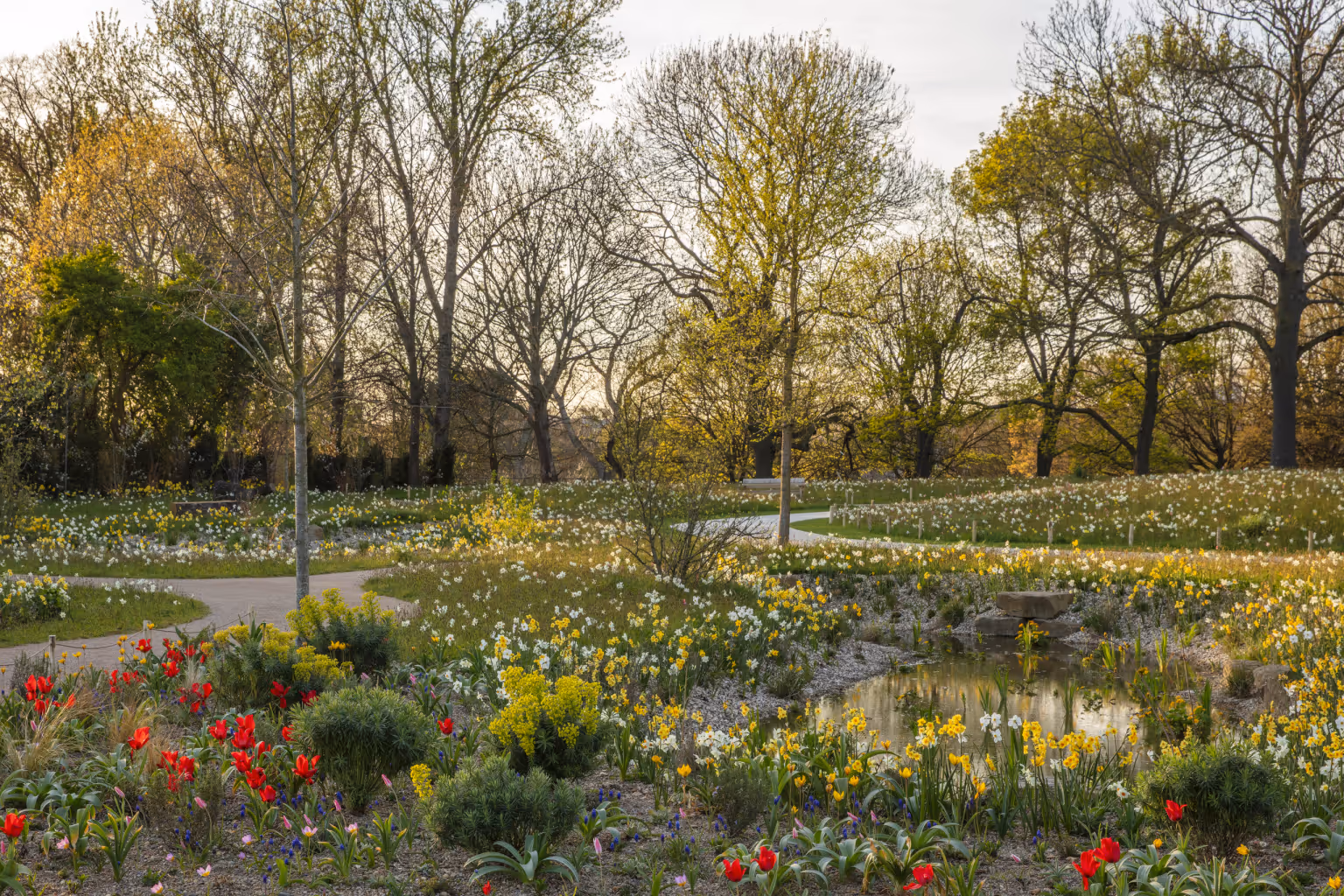 The Queen Elizabeth II Garden