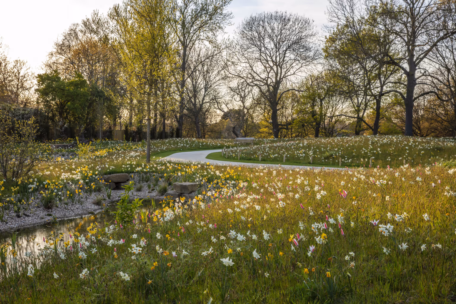 The Queen Elizabeth II Garden