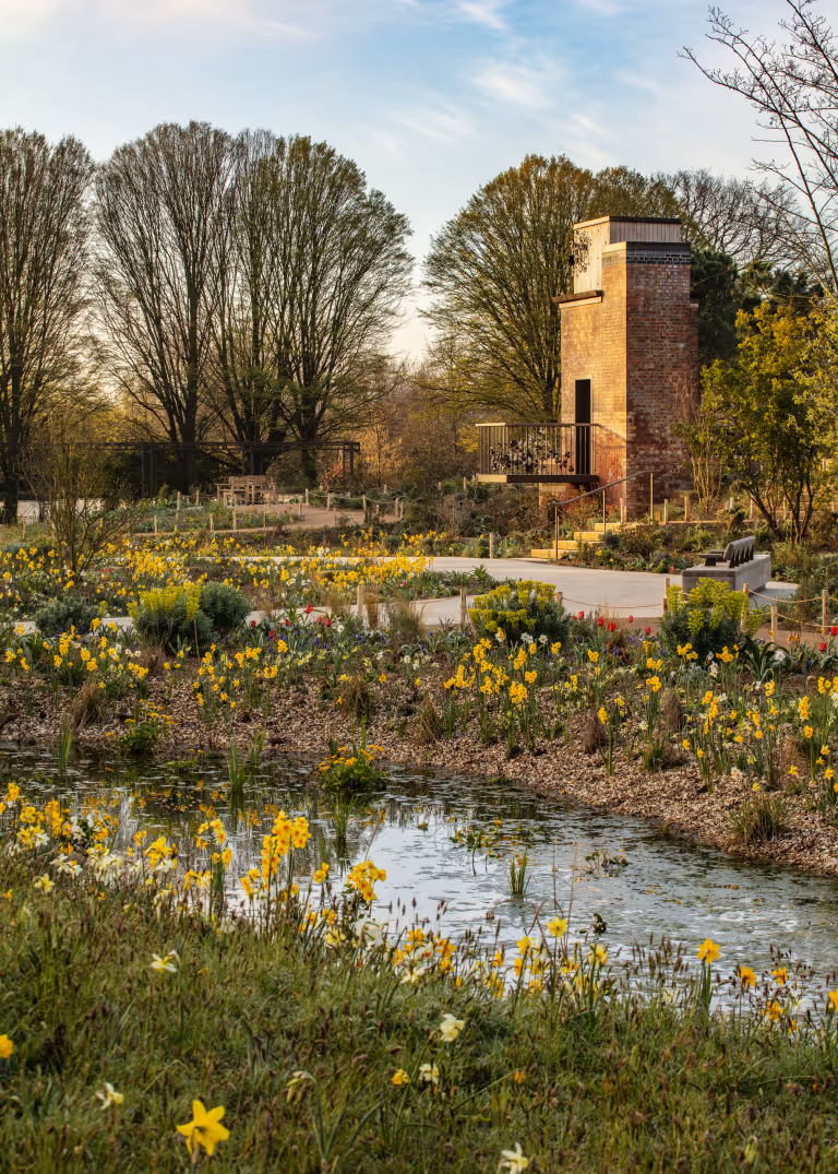The Queen Elizabeth II Garden