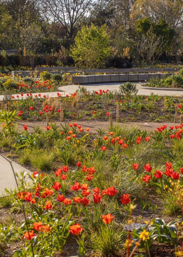 The Queen Elizabeth II Garden