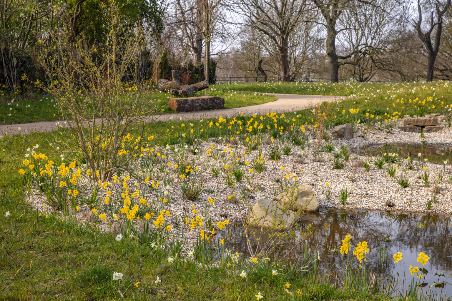 The Queen Elizabeth II Garden