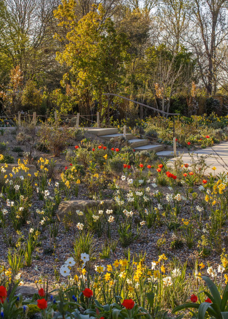 The Queen Elizabeth II Garden
