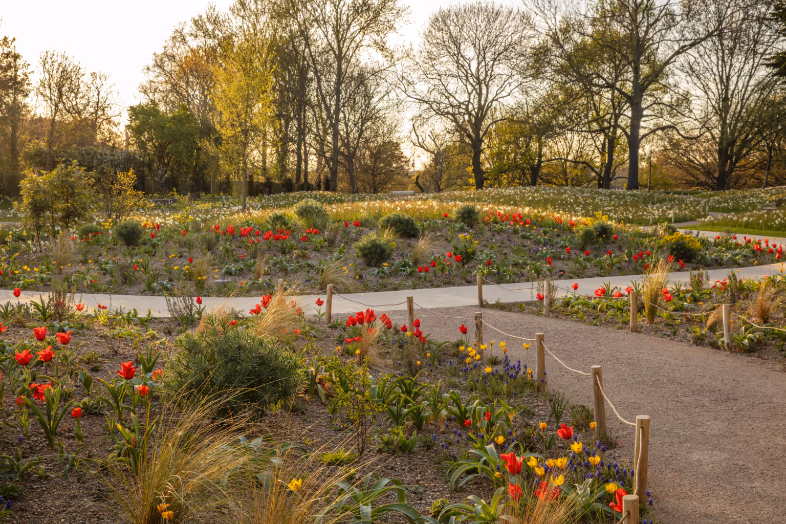 The Queen Elizabeth II Garden