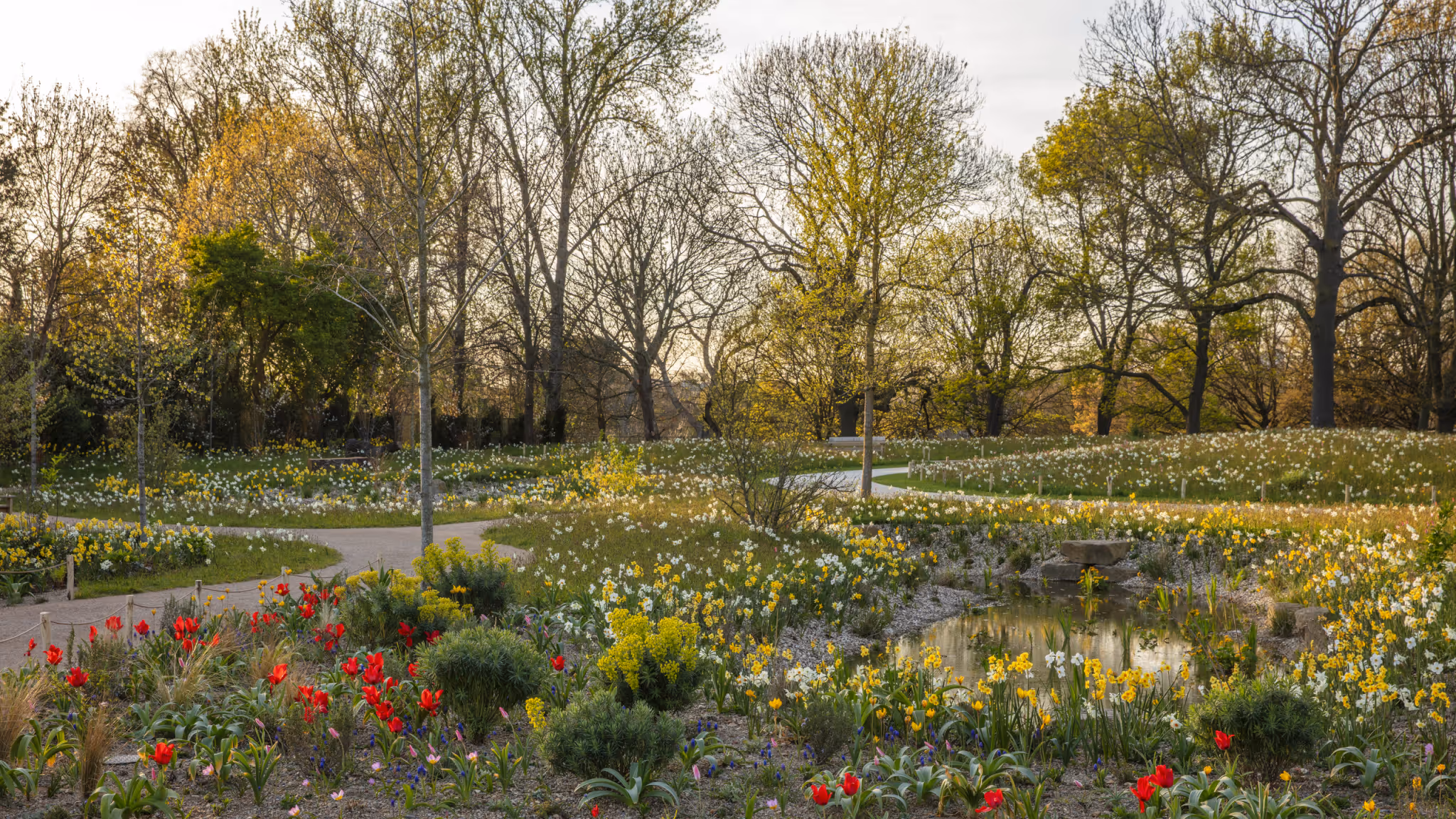 The Queen Elizabeth II Garden
