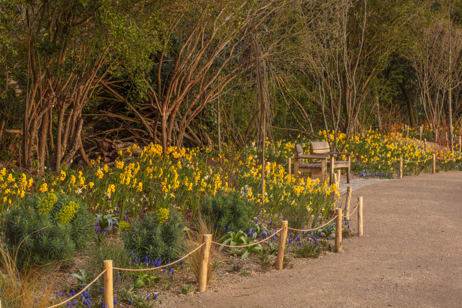 The Queen Elizabeth II Garden
