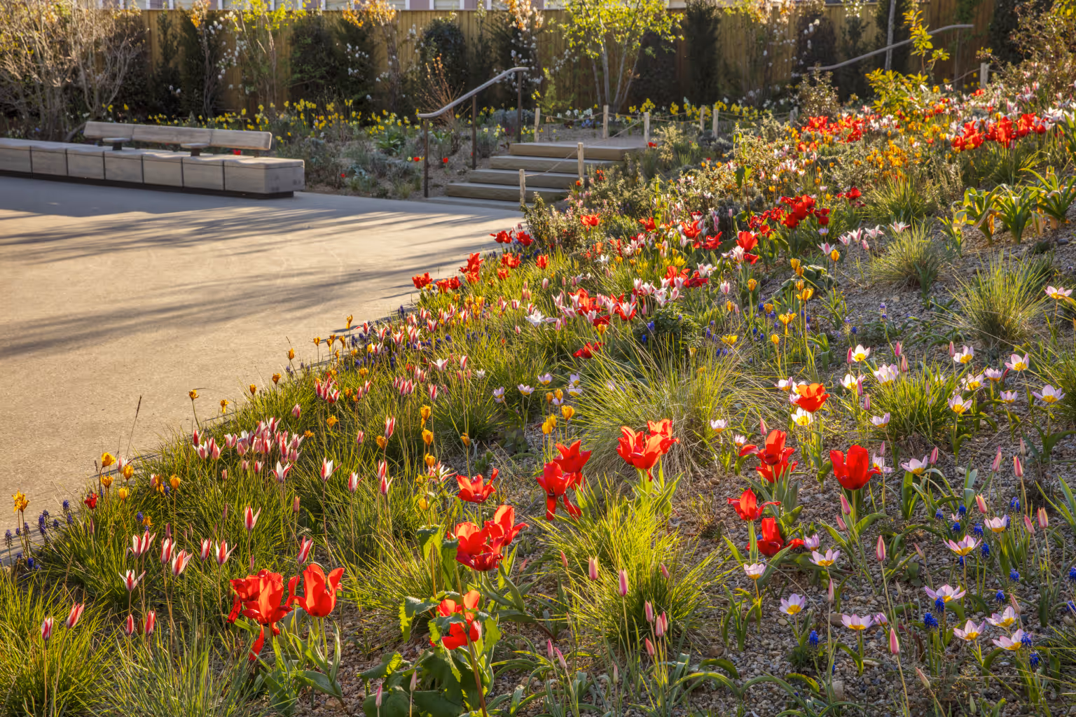 The Queen Elizabeth II Garden