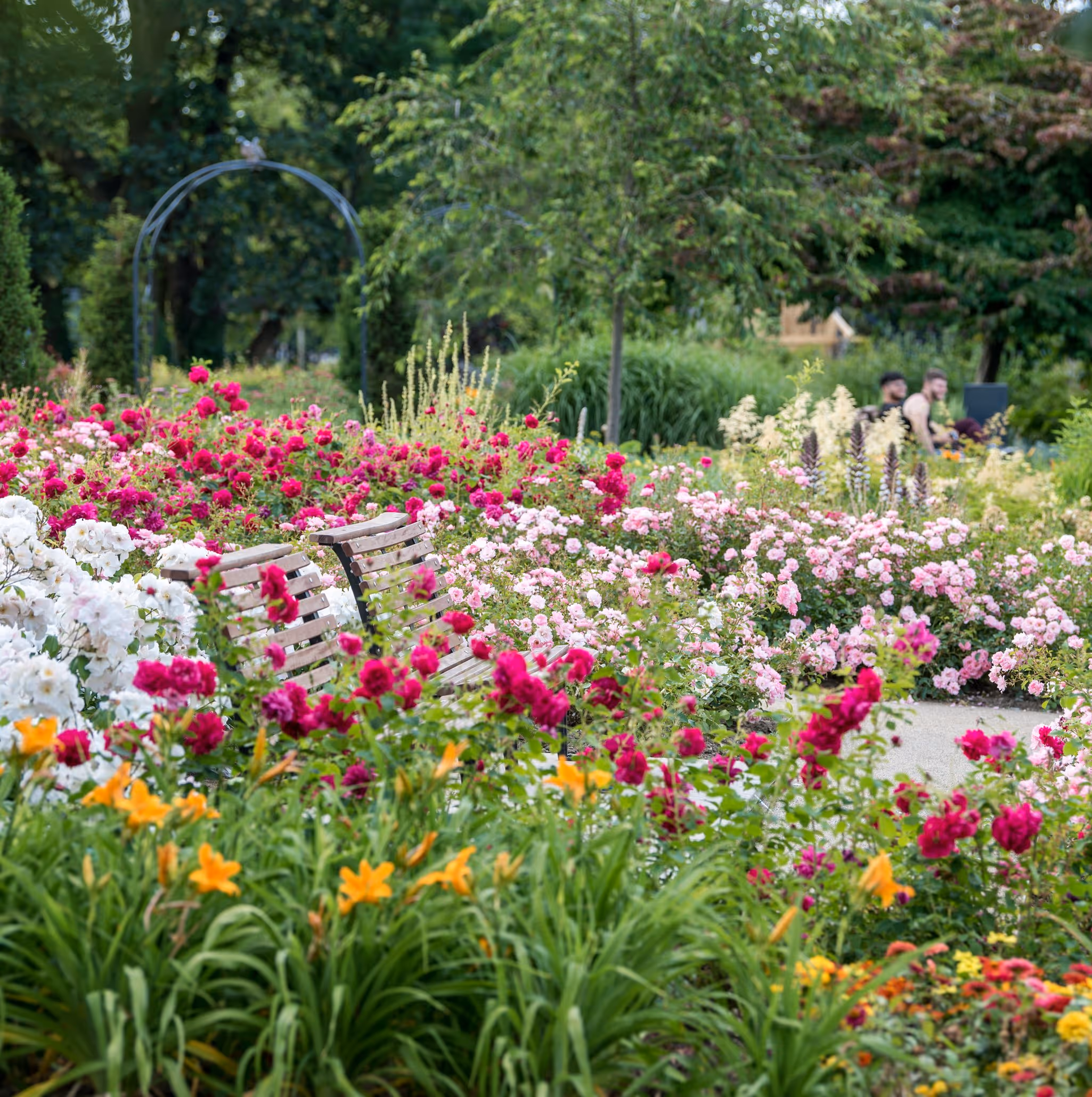 The Water Gardens