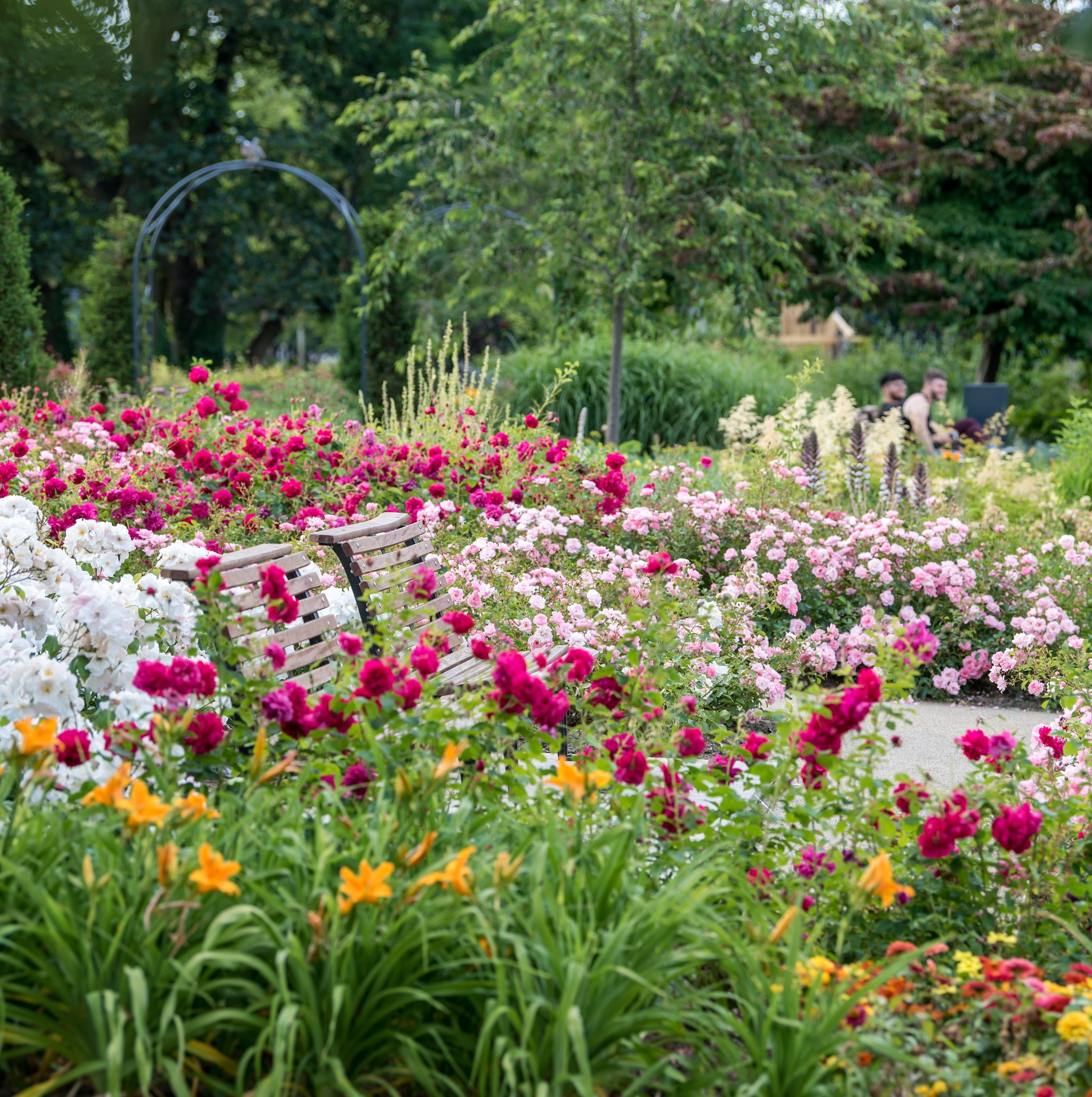 The Water Gardens