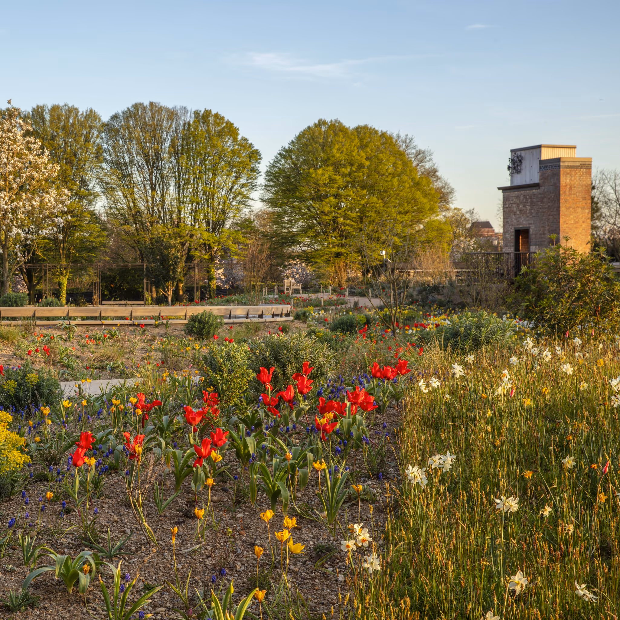 The Queen Elizabeth II Garden