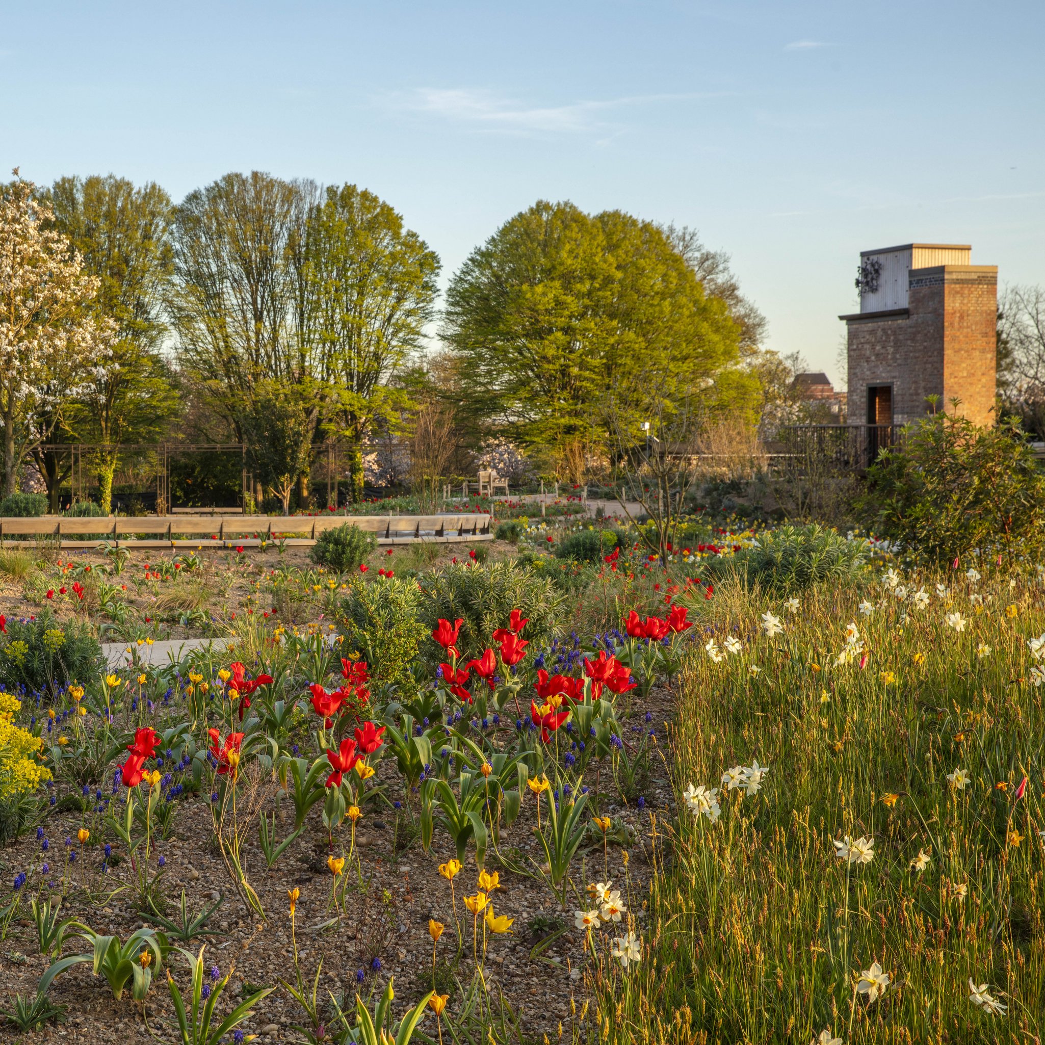The Queen Elizabeth II Garden