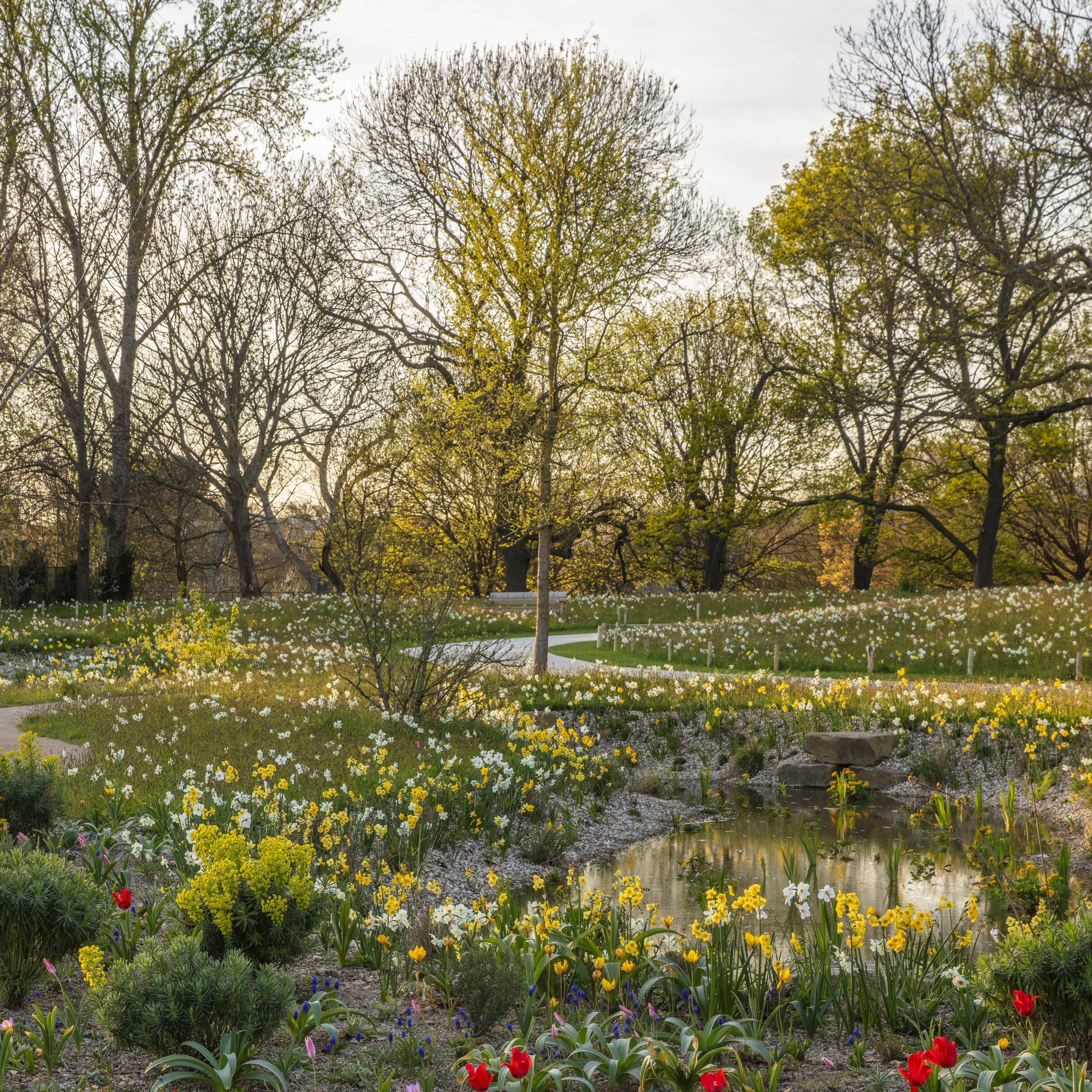 The Queen Elizabeth II Garden