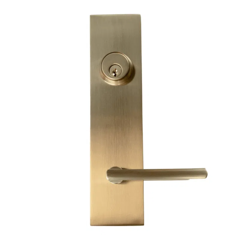 Brushed gold door handle with a lever and integrated lock on a rectangular backplate.