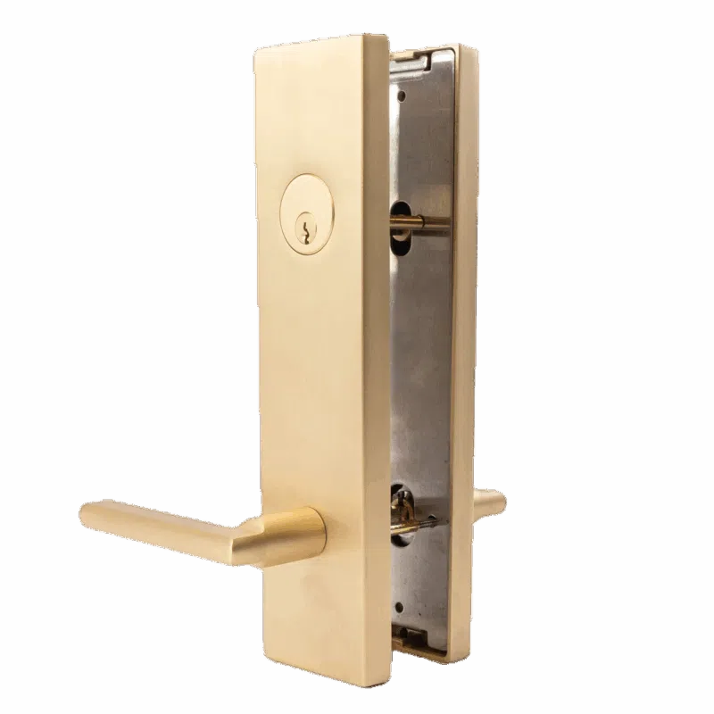 Brushed brass door lever handle with faceplate and lock mechanism viewed from the front and side.