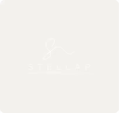 Minimalist logo design with a stylized 'S' above the word STELLA P in light colors on a pale background.