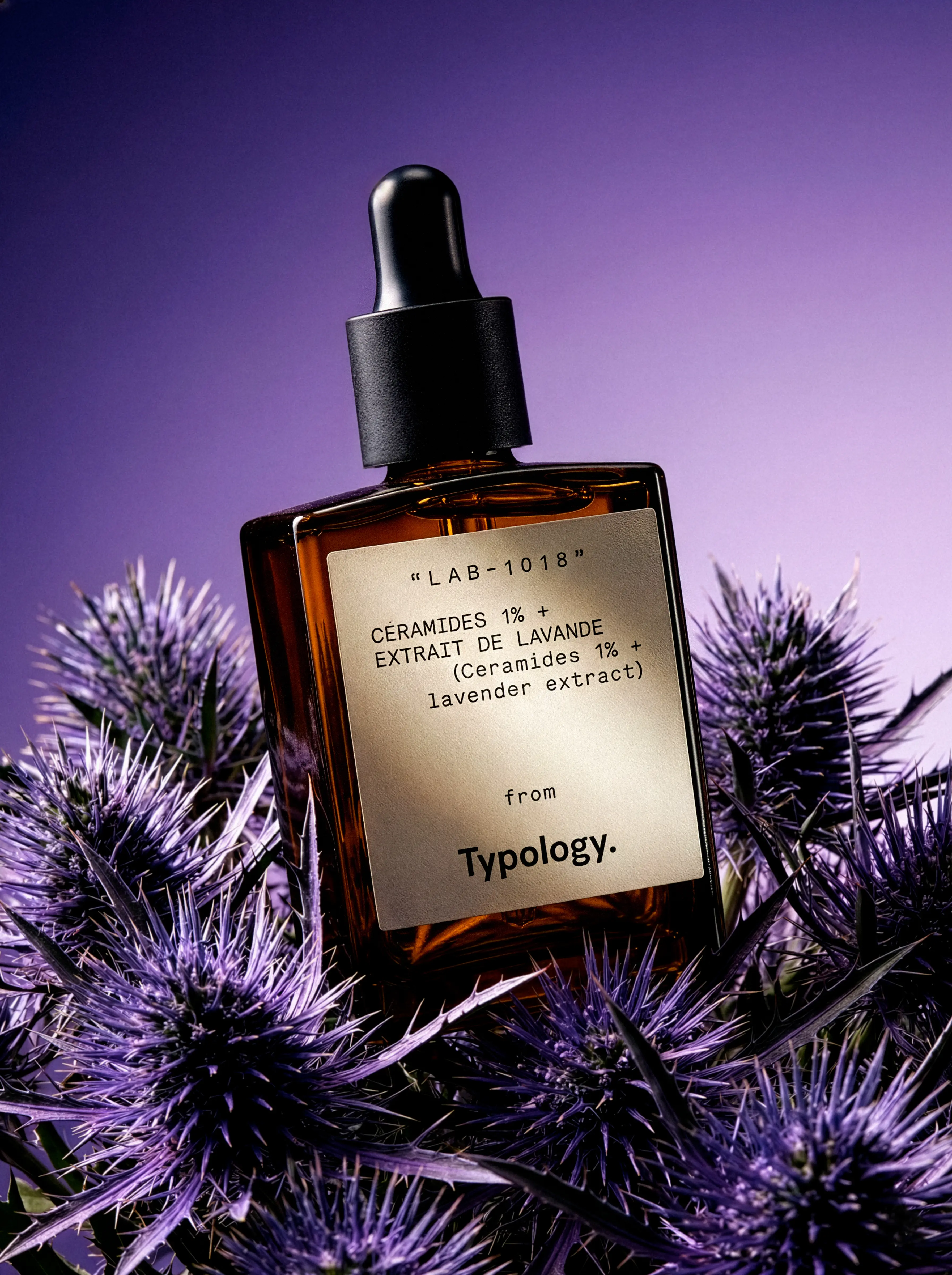 Fluffy gray tabby cat walking beside a pink velvet armchair with wooden legs.