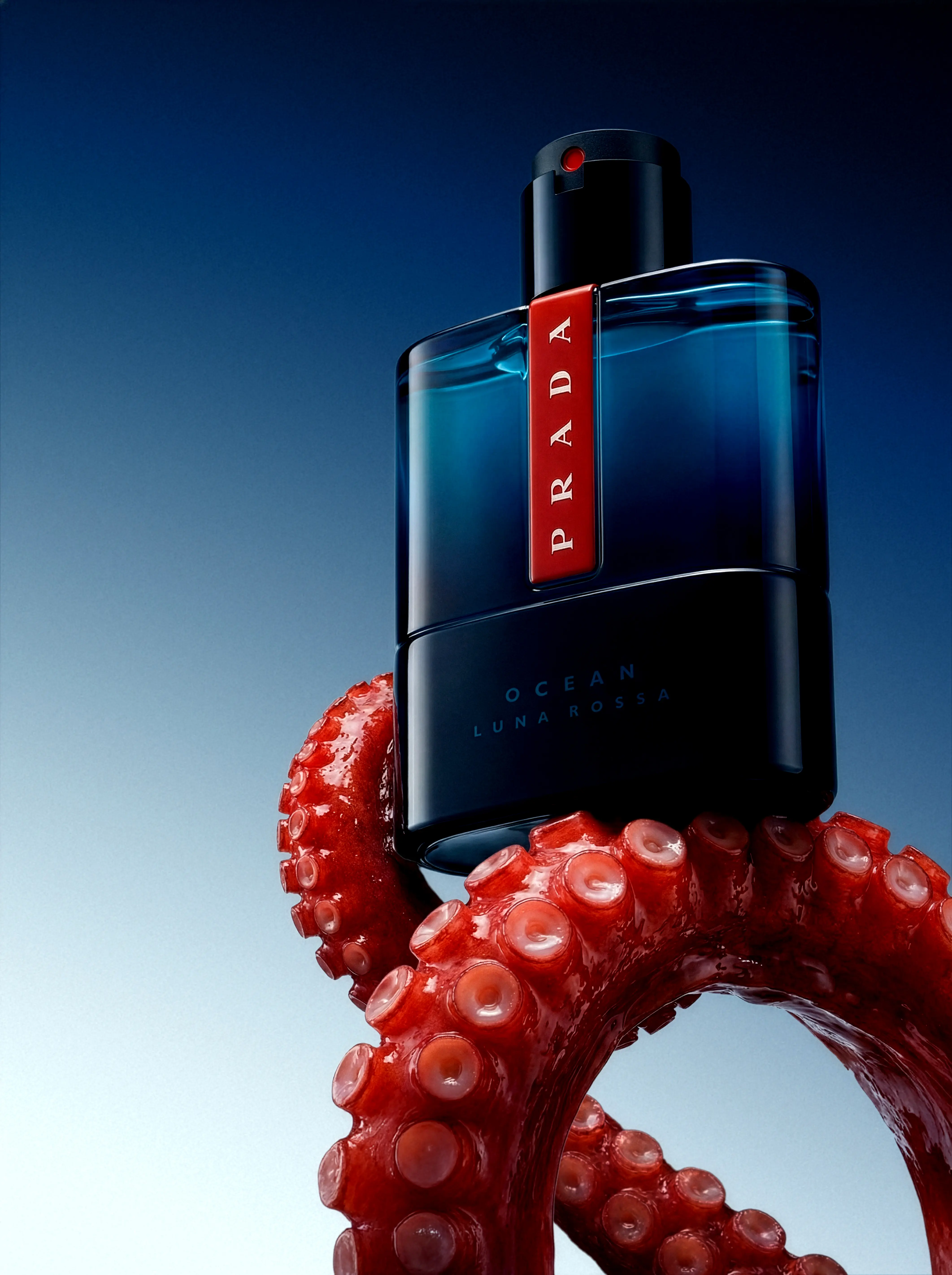 Translucent plastic bag floating against a dark green gradient background.