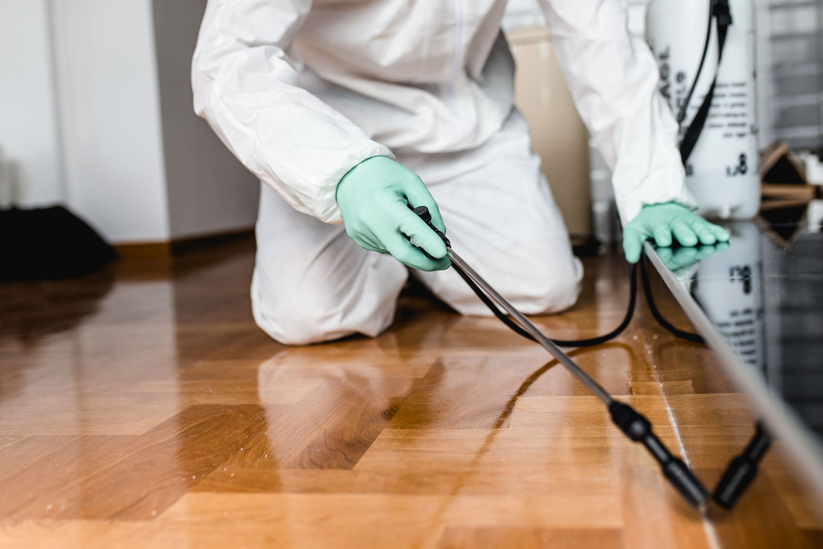Person in white protective suit spraying disinfectant on wooden floor