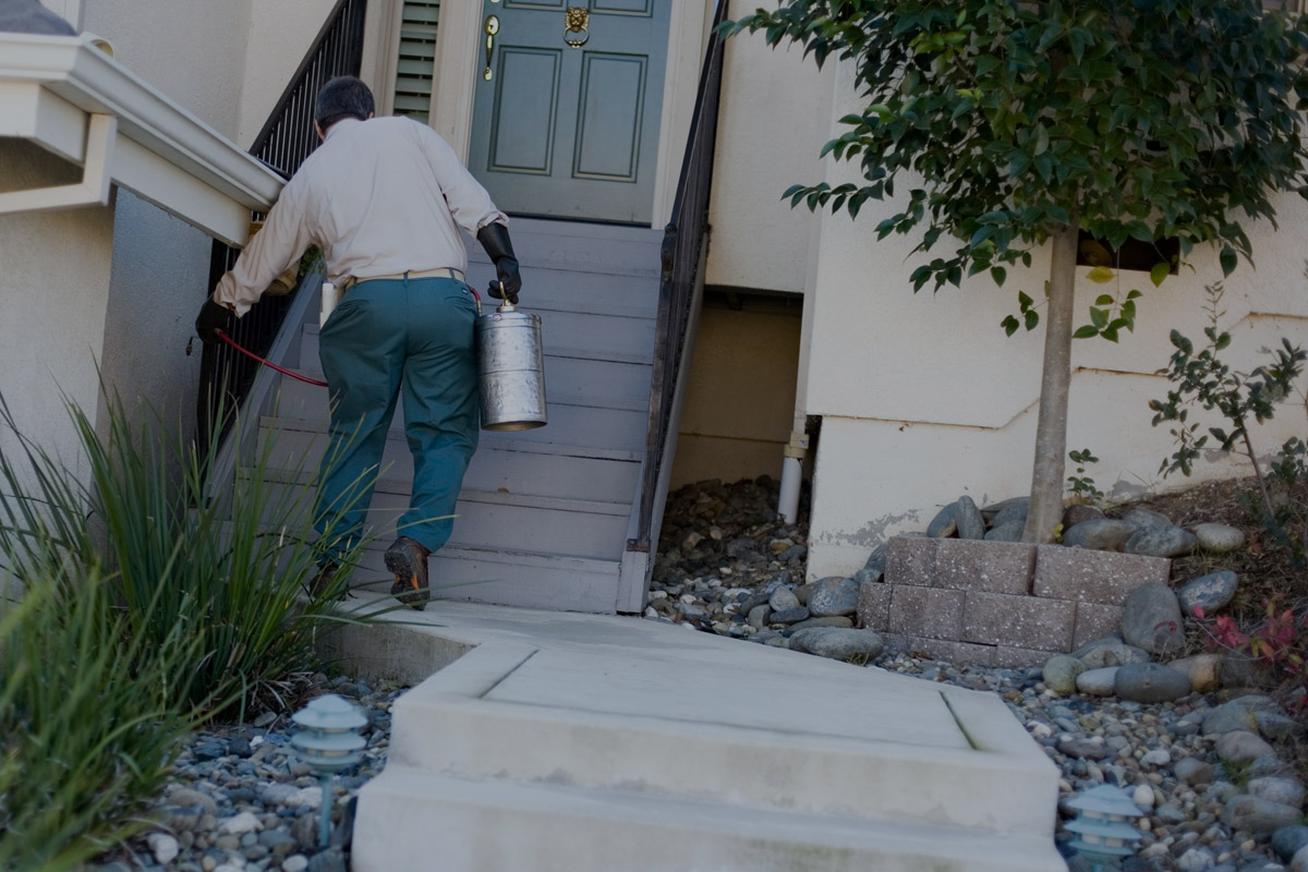 Pest control worker climbing stairs with sprayer, approaching blue door
