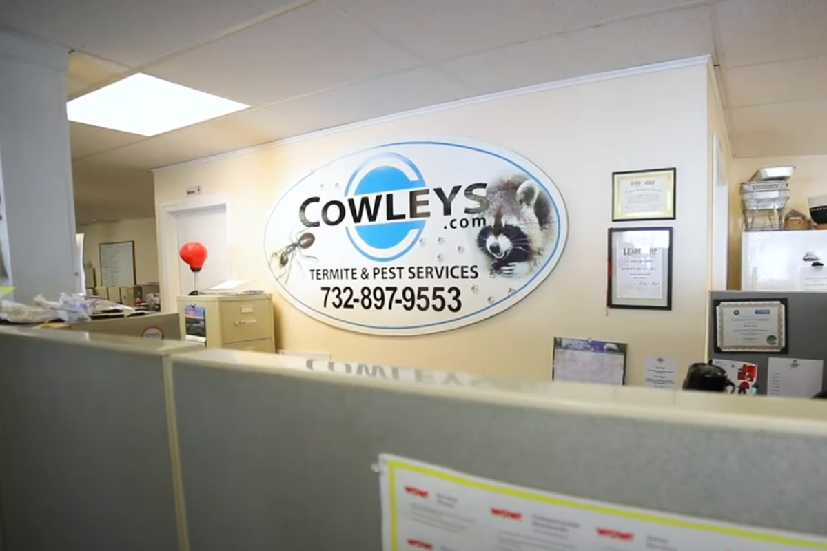 Cowleys Termite & Pest Services office interior with logo and reception area