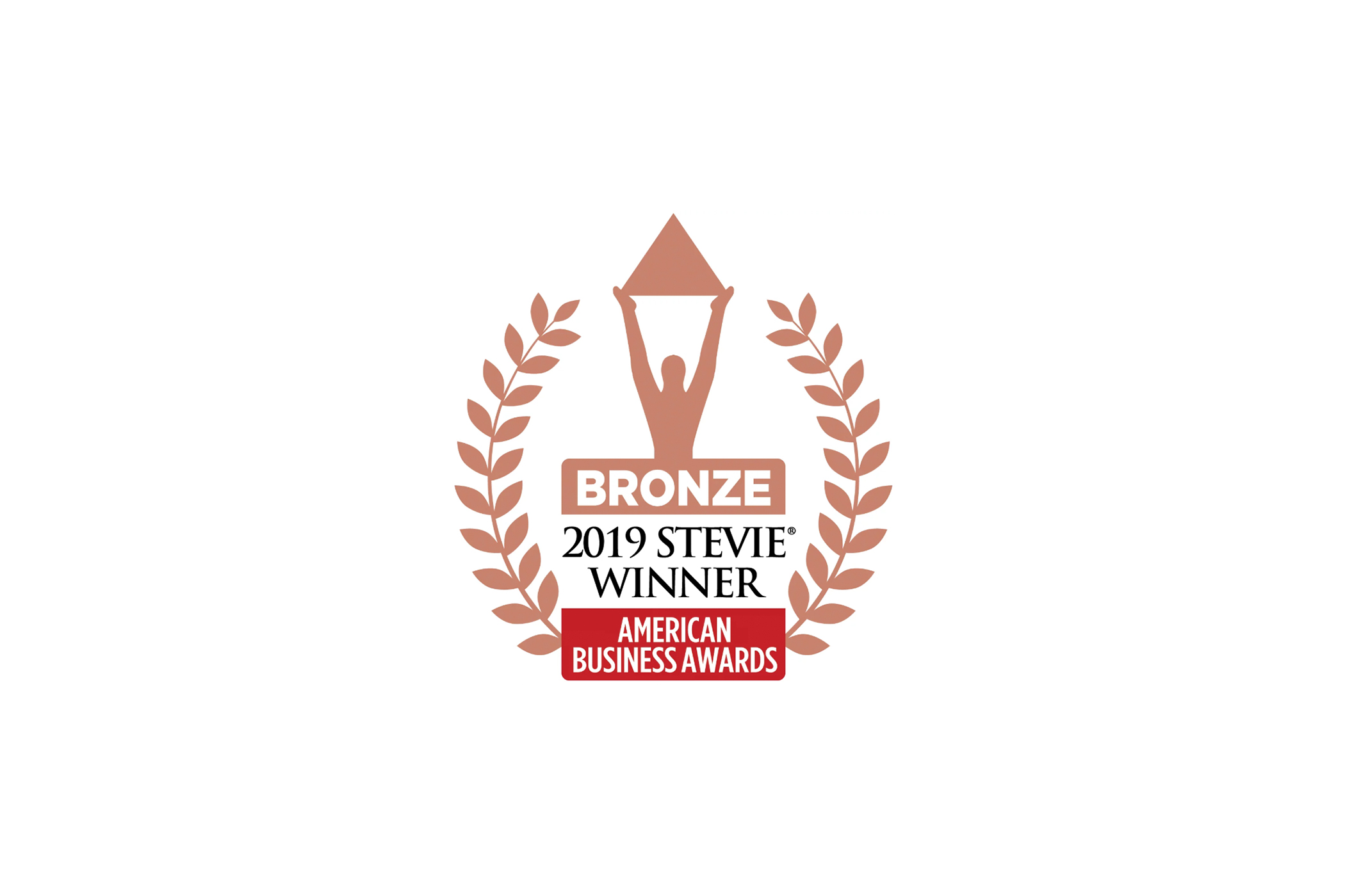 2019 Stevie Bronze Winner Award for American Business Awards