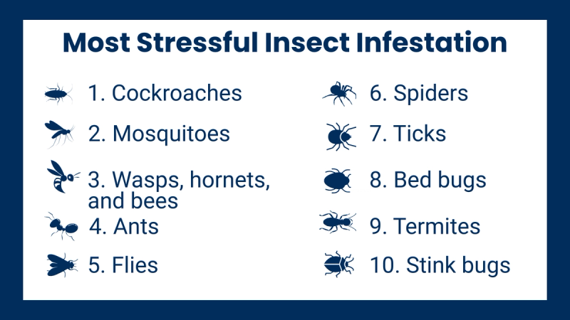 Ranked list of top 10 most stressful insect infestations in blue
