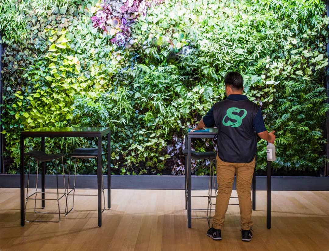 Man cleaning a table in front of a lush green vertical plant wall with two tables and chairs on a wooden floor.