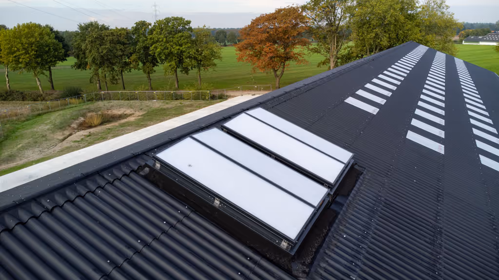 Detailfoto van de dakramen.