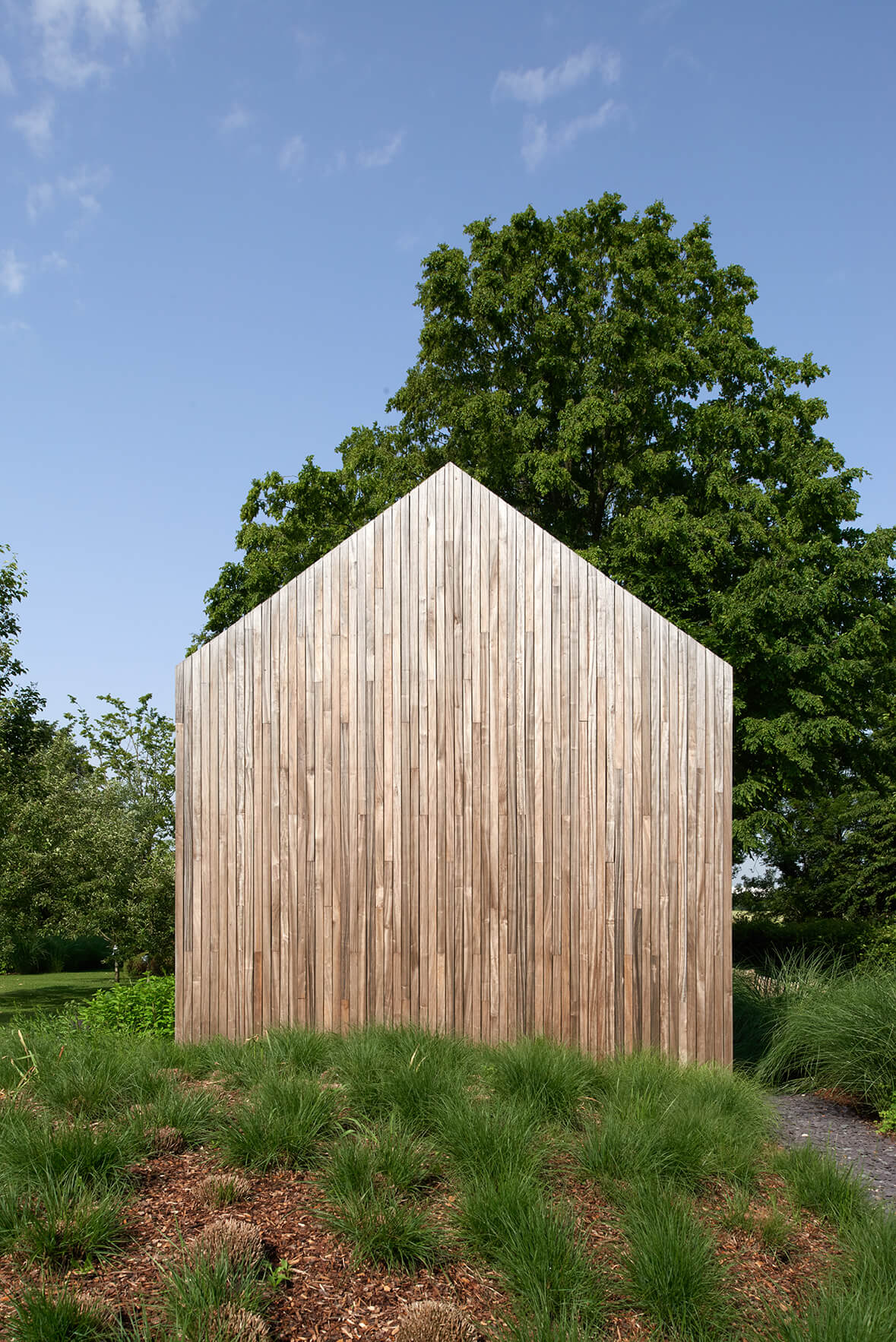 Achtergevel van tiny house uit houtskelet als duurzaam vakantiehuis midden in het groen, omgeven door bomen en natuur.