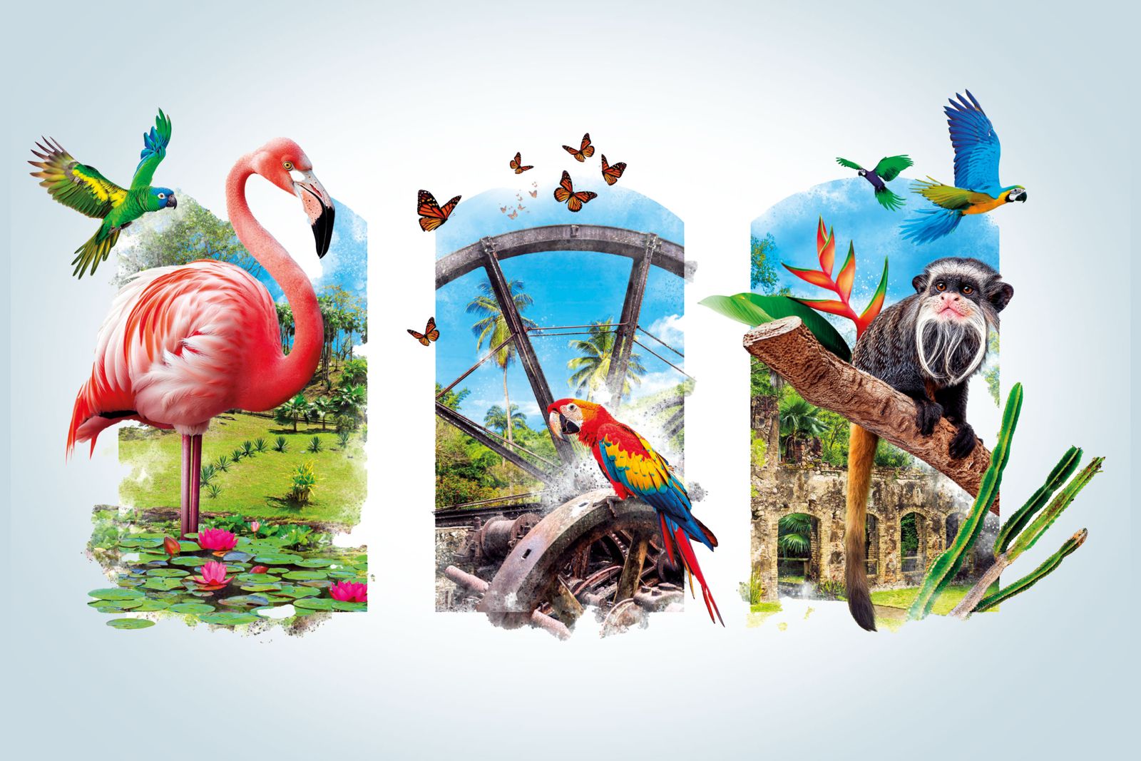 Composition artistique avec un flamant rose sur des nénuphars, un perroquet ara sur une roue mécanique entourée de papillons monarques et un tamarin moustachu sur une branche avec des perroquets bleus en arrière-plan devant des ruines et une végétation tropicale.