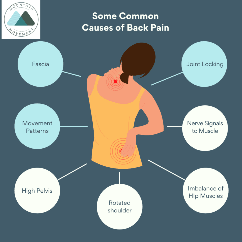Back Pain Chiropractor Greenville, SC