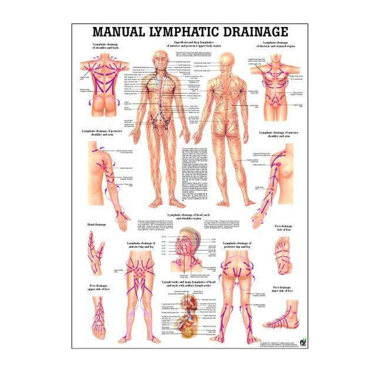 Lymphatic Drainage