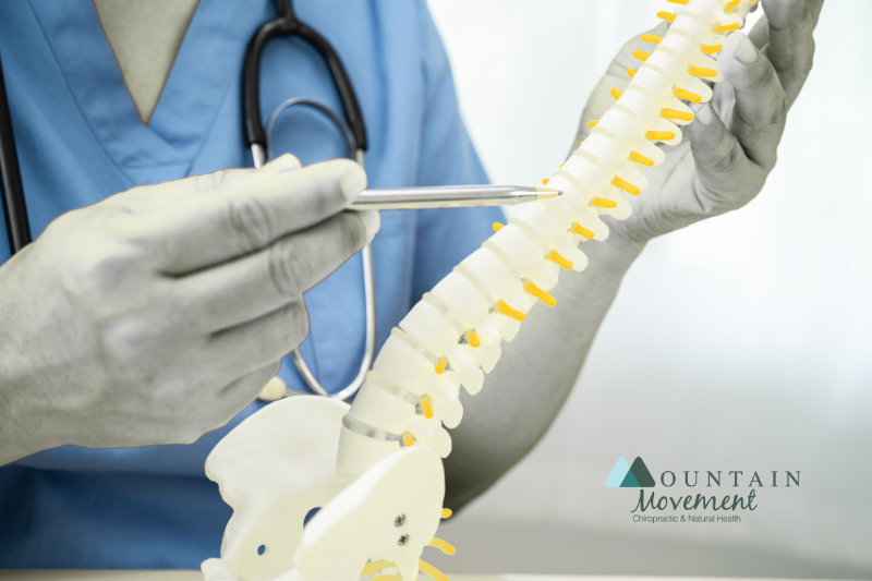 A doctor points out the importance of spine care 